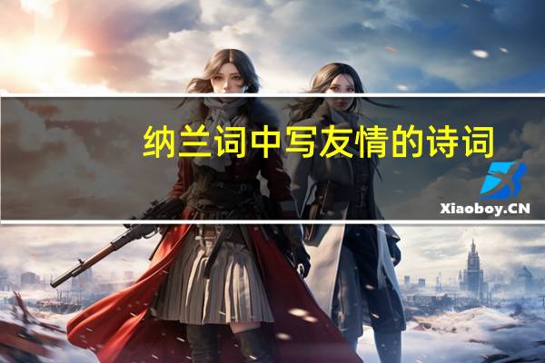 纳兰词中写友情的诗词