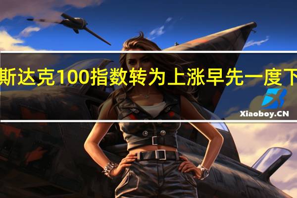 纳斯达克100指数转为上涨早先一度下跌逾1%