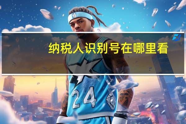 纳税人识别号在哪里看