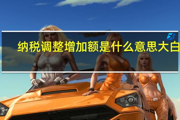 纳税调整增加额是什么意思大白话（纳税调整增加额是什么意思）