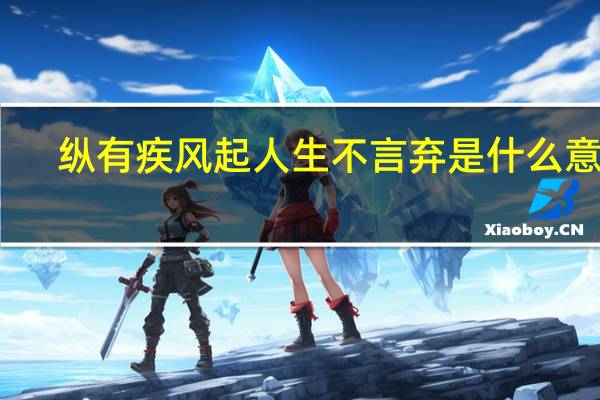 纵有疾风起人生不言弃是什么意思