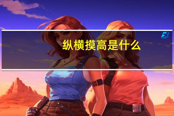 纵横摸高是什么