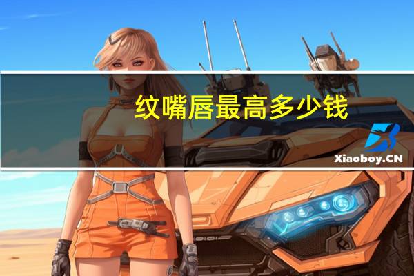 纹嘴唇最高多少钱？纹嘴巴是什么意思