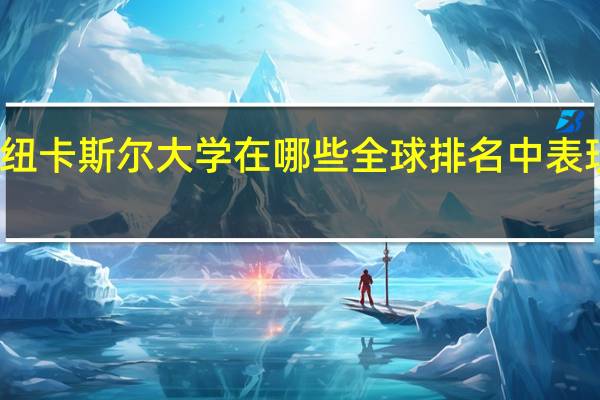 纽卡斯尔大学在哪些全球排名中表现优异