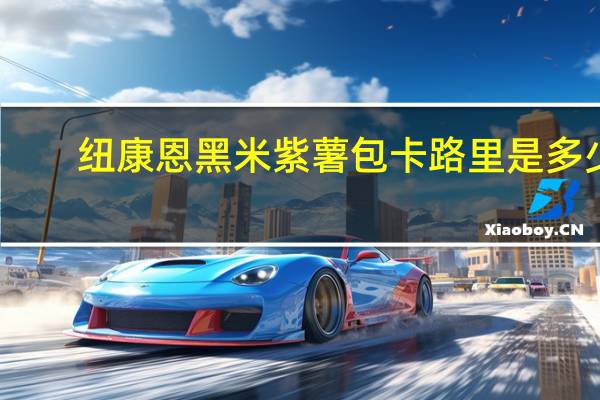 纽康恩 黑米紫薯包卡路里是多少