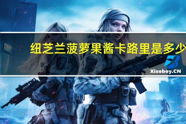 纽芝兰 菠萝果酱卡路里是多少