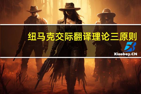 纽马克交际翻译理论三原则