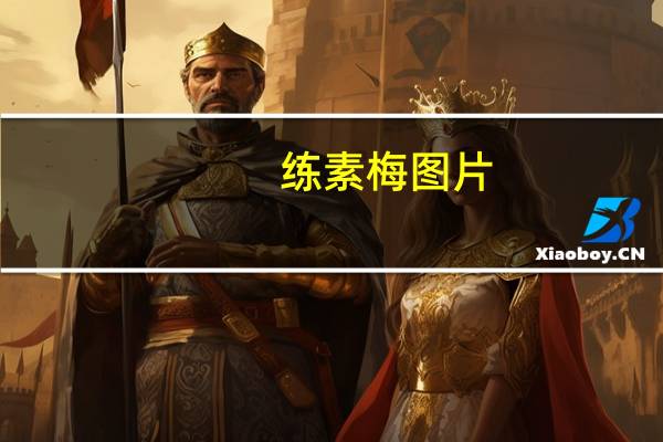练素梅图片（练素梅）