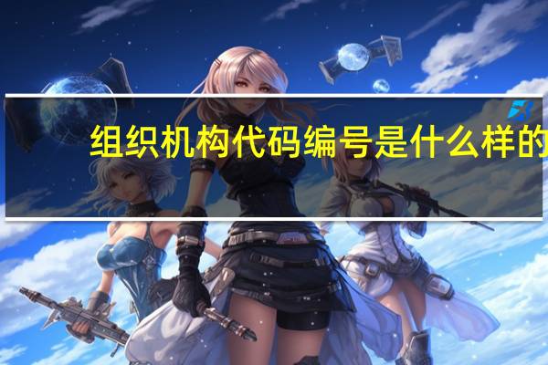 组织机构代码编号是什么样的（组织机构代码证号是哪几位）
