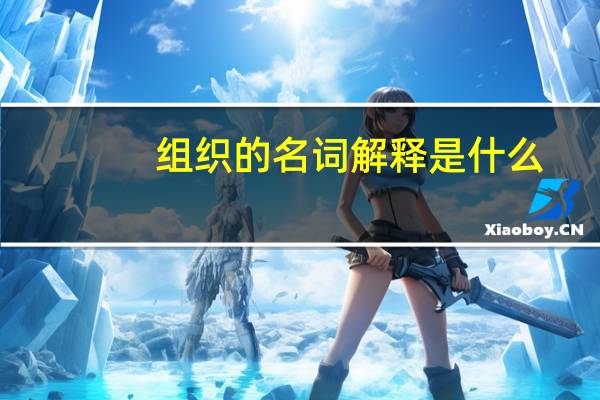 组织的名词解释是什么