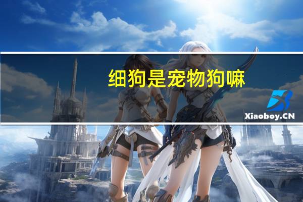细狗是宠物狗嘛