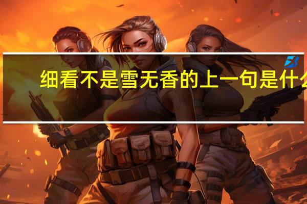 细看不是雪无香的上一句是什么