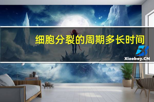 细胞分裂的周期多长时间