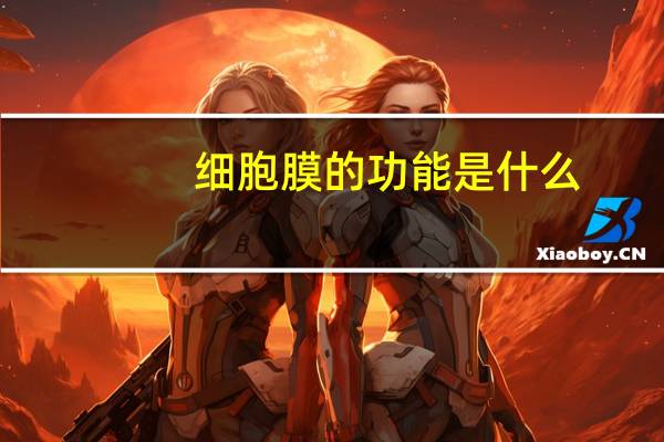 细胞膜的功能是什么