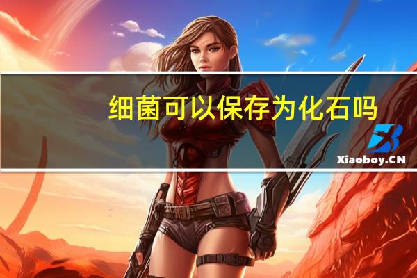细菌可以保存为化石吗?