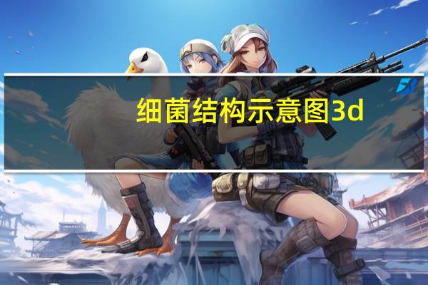 细菌结构示意图3d（细菌结构示意图）