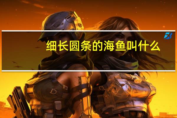 细长圆条的海鱼叫什么