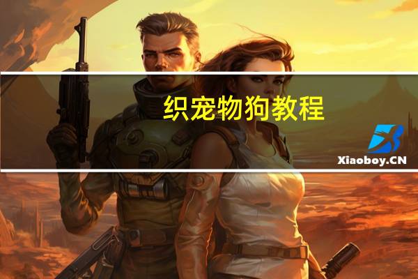 织宠物狗教程
