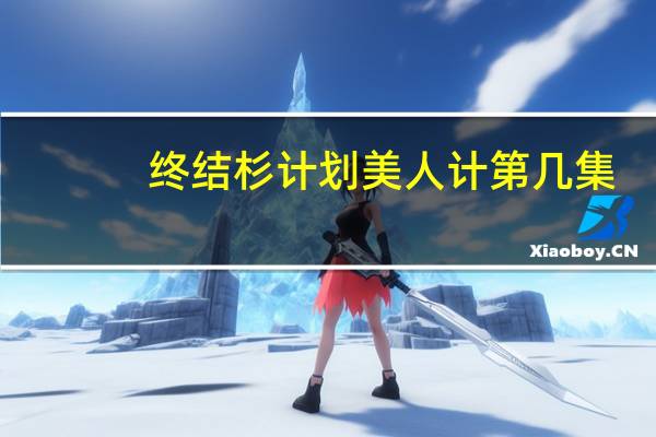 终结杉计划美人计第几集