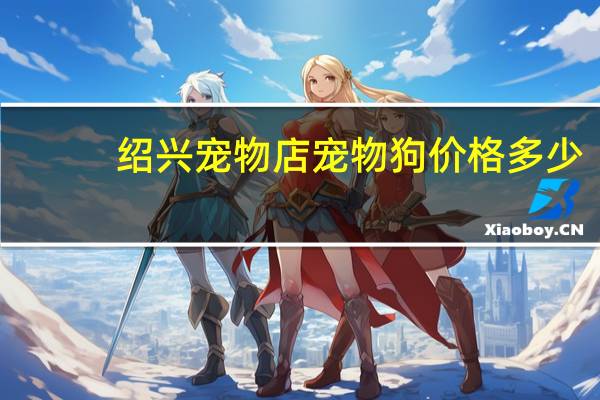 绍兴宠物店宠物狗价格多少