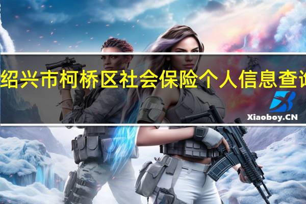 绍兴市柯桥区社会保险个人信息查询系统