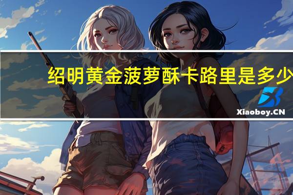 绍明 黄金菠萝酥卡路里是多少