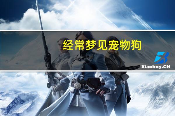 经常梦见宠物狗