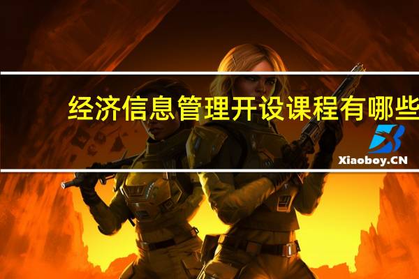 经济信息管理开设课程有哪些