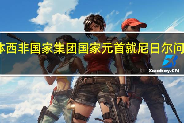 经济共同体西非国家集团国家元首就尼日尔问题进行闭门会议