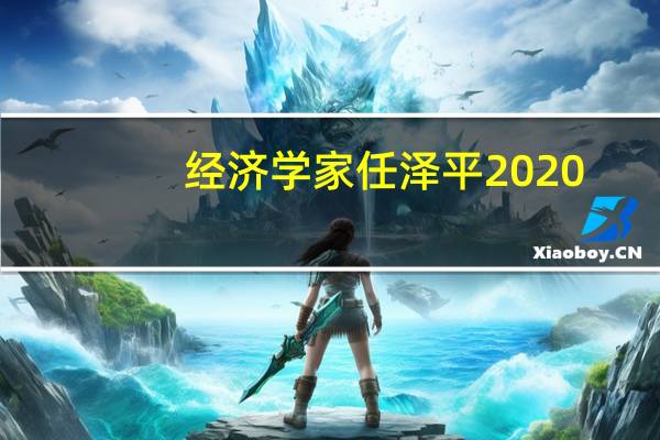 经济学家任泽平2020(任泽平-著名经济学家介绍)