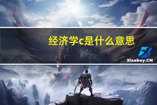 经济学c是什么意思