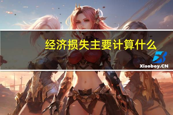 经济损失主要计算什么（计算经济损失主要计算）