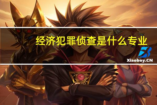 经济犯罪侦查是什么专业