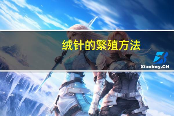 绒针的繁殖方法