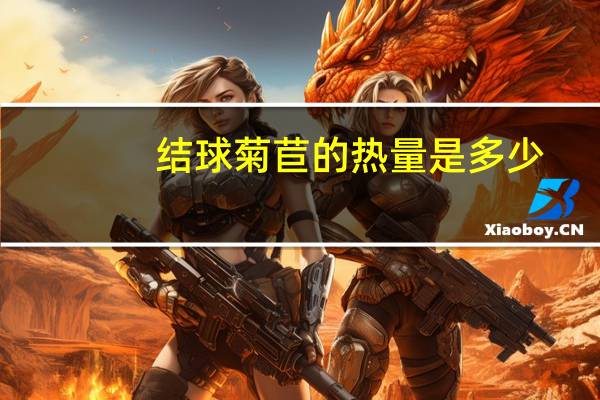 结球菊苣的热量是多少？