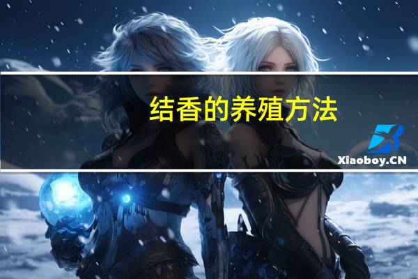 结香的养殖方法：喜温暖、半湿润环境