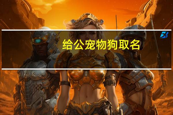 给公宠物狗取名