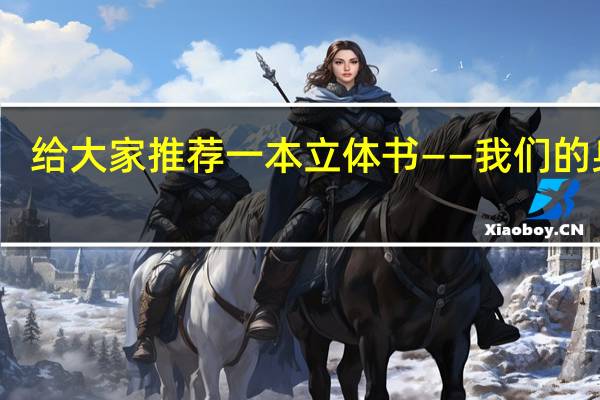 给大家推荐一本立体书——我们的身体