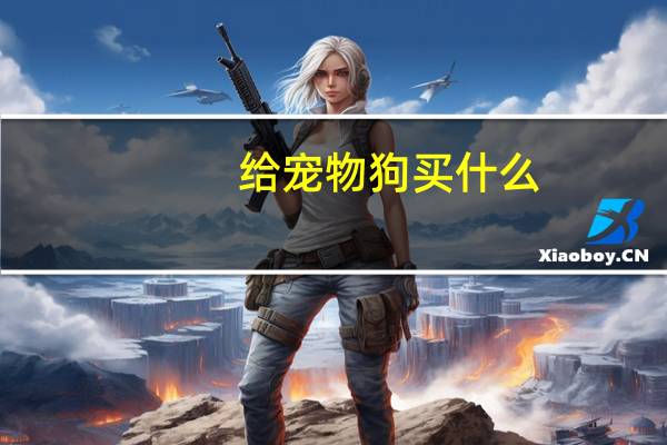 给宠物狗买什么