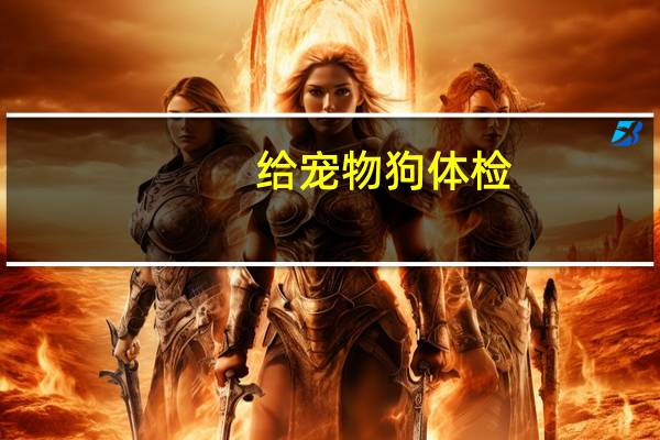 给宠物狗体检