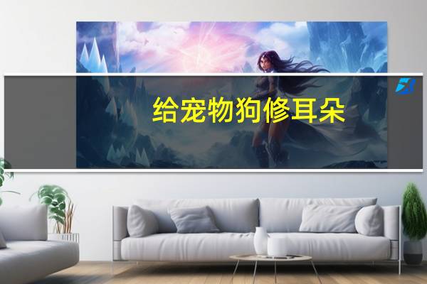 给宠物狗修耳朵