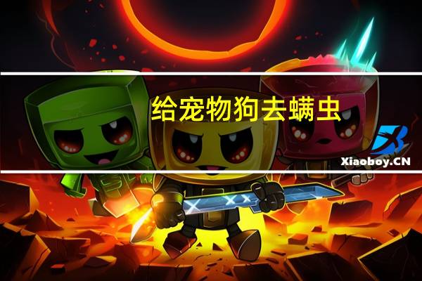 给宠物狗去螨虫