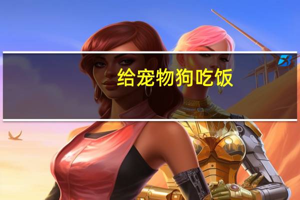 给宠物狗吃饭
