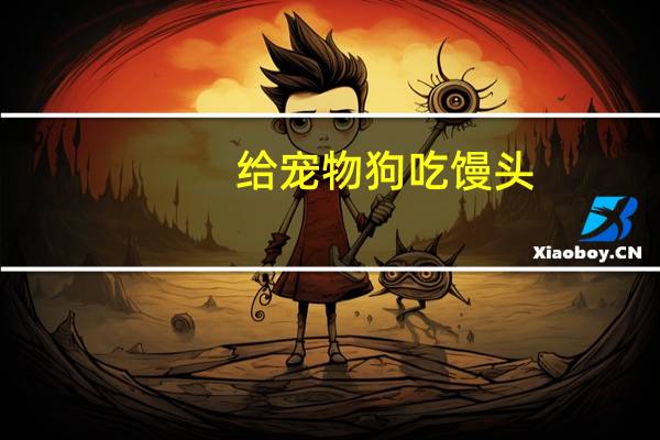 给宠物狗吃馒头