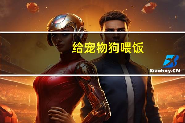 给宠物狗喂饭