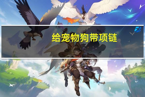 给宠物狗带项链