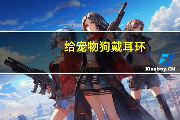 给宠物狗戴耳环