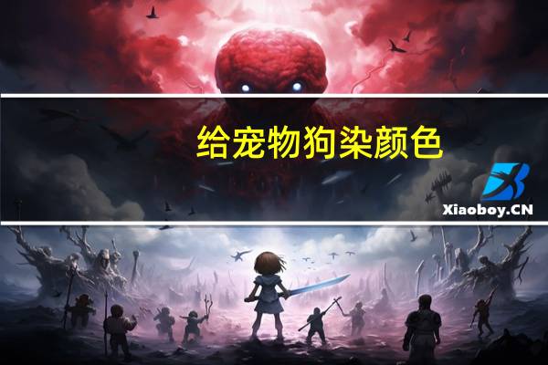 给宠物狗染颜色
