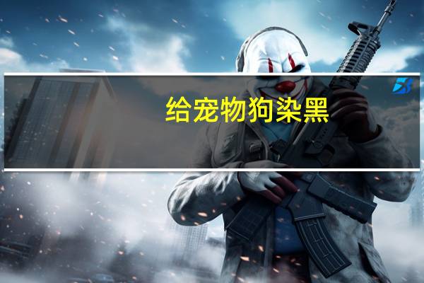 给宠物狗染黑