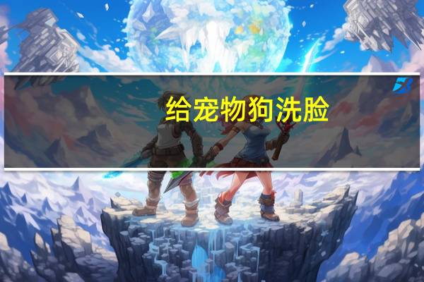 给宠物狗洗脸